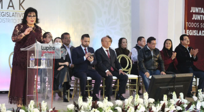 Guadalupe Yamak subraya acciones legislativas a favor de la niñez