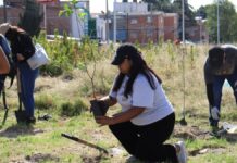 Pepe Chedraui impulsa la reforestación en Puebla con Raíces del Futuro