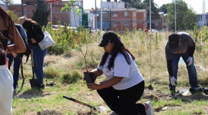 Pepe Chedraui impulsa la reforestación en Puebla con Raíces del Futuro