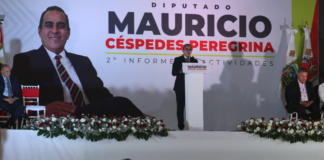 Mauricio Céspedes destaca trabajo legislativo y de gestión