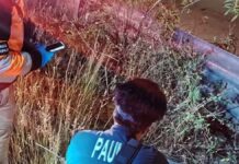 Hallan muerto a motociclista en lateral de Periférico Ecológico; su unidad desapareció