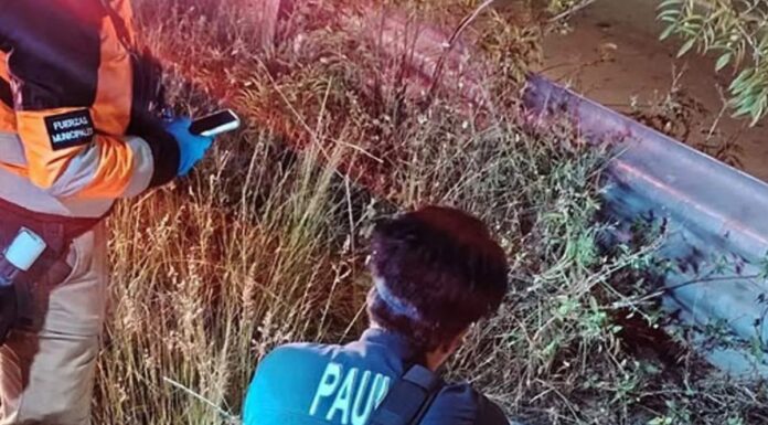Hallan muerto a motociclista en lateral de Periférico Ecológico; su unidad desapareció