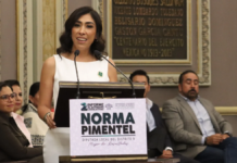 Norma Pimentel presenta 58 iniciativas y 12 puntos de acuerdo