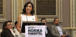 Norma Pimentel presenta 58 iniciativas y 12 puntos de acuerdo