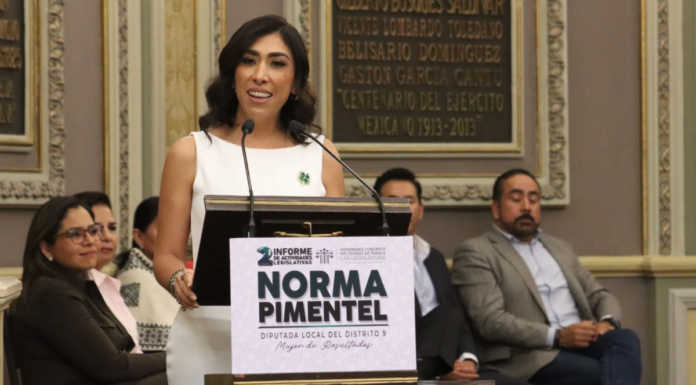 Norma Pimentel presenta 58 iniciativas y 12 puntos de acuerdo