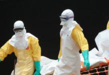 Francia detecta el primer caso humano del virus Shamonda