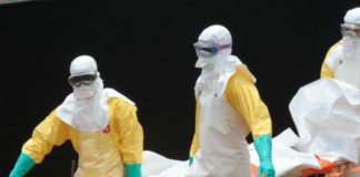 Francia detecta el primer caso humano del virus Shamonda