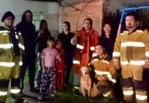 Bomberos de Cuautlancingo rescatan a perro de pozo de 40 metros
