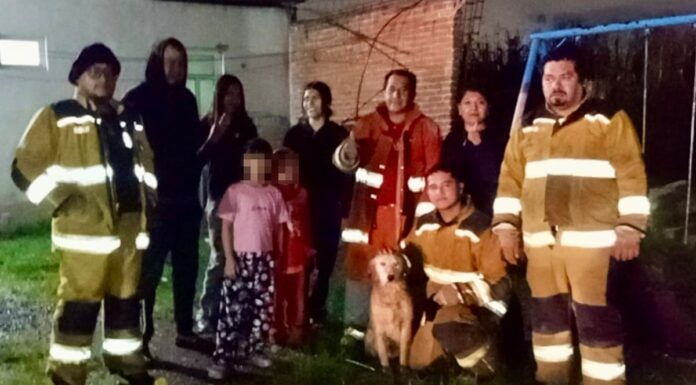 Bomberos de Cuautlancingo rescatan a perro de pozo de 40 metros