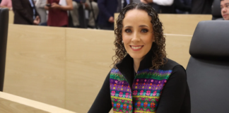 Promueven iniciativa para reconocer a defensores de animales