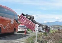 Volcadura de camión en la Puebla-Orizaba deja un lesionado