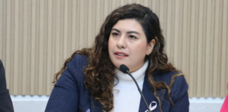 Xel Hernández aclara que Cablebús no desaparecerá áreas verdes