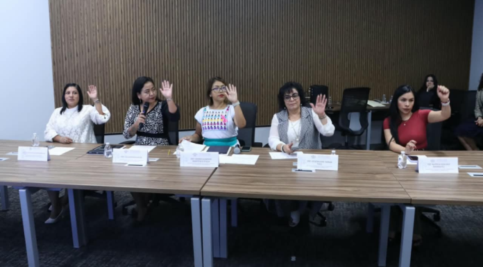 Plantean acciones contra aislamiento social de adultos mayores
