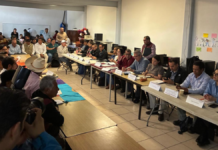 CFE reporta avances ambientales en comunidad indígena de Michoacán