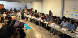 CFE reporta avances ambientales en comunidad indígena de Michoacán
