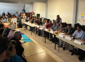 CFE reporta avances ambientales en comunidad indígena de Michoacán