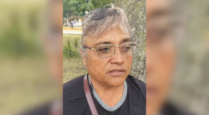 Madre buscadora denuncia retrasos en CEEAVI tras cambio de titular