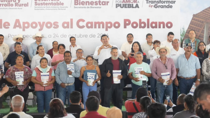 campo