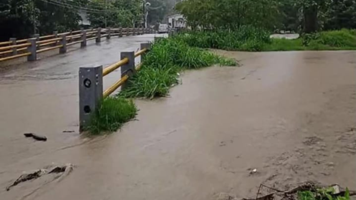 daños