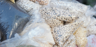 Banco de Alimentos busca reunir 20 toneladas de arroz y frijol