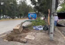 Poste de luz y árbol caen sobre una familia en el Niño Poblano