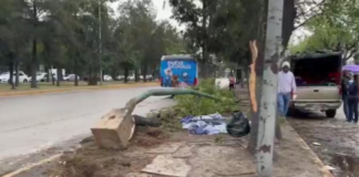 Poste de luz y árbol caen sobre una familia en el Niño Poblano