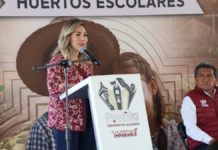 Puebla impulsa educación ambiental con 120 huertos escolares
