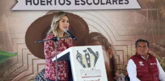 Puebla impulsa educación ambiental con 120 huertos escolares