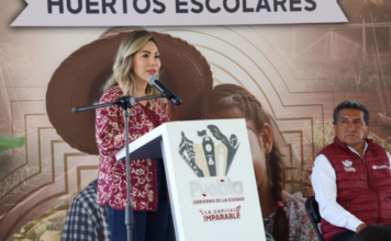 Puebla impulsa educación ambiental con 120 huertos escolares