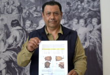 Investigadores BUAP registran nuevos ejemplares de tortuga