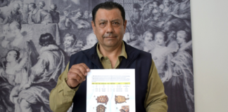 Investigadores BUAP registran nuevos ejemplares de tortuga