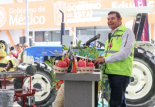 Puebla proyecta sembrar 200 mil hectáreas de temporal