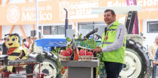 Puebla proyecta sembrar 200 mil hectáreas de temporal