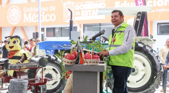 Puebla proyecta sembrar 200 mil hectáreas de temporal