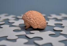 Vejez no debe asociarse con pérdida de memoria, advierten expertos