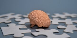 Vejez no debe asociarse con pérdida de memoria, advierten expertos
