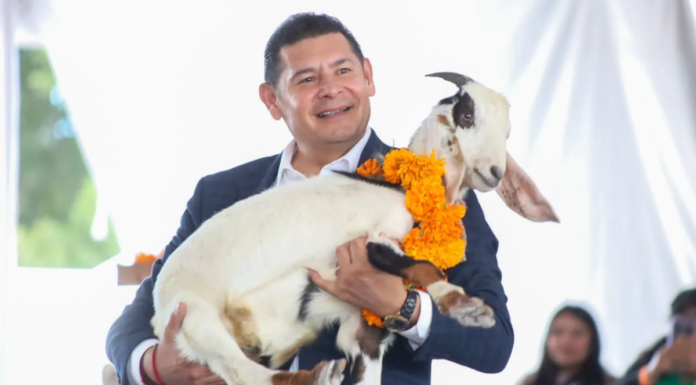 Puebla inicia la temporada del mole de caderas 2026