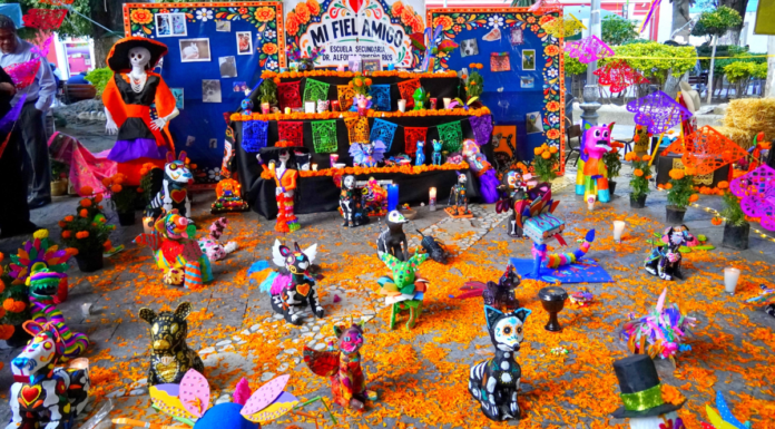 Texmelucan celebra concursos de ofrendas para mascotas