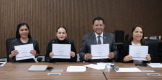Exhortan a asignar recursos prioritarios en materia de seguridad