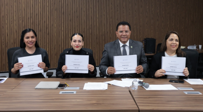 Exhortan a asignar recursos prioritarios en materia de seguridad