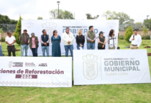 Cuautlancingo impulsa reforestación en Residencial Los Trojes II
