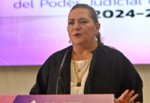 Guadalupe Taddei presenta su renuncia a la presidencia del INE