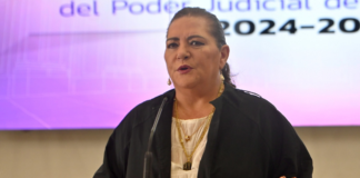 Guadalupe Taddei presenta su renuncia a la presidencia del INE