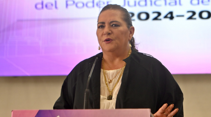 Guadalupe Taddei presenta su renuncia a la presidencia del INE