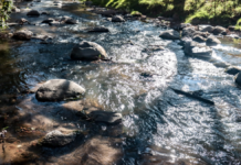 Proyectan cuatro centros de vigilancia para monitorear el río Atoyac