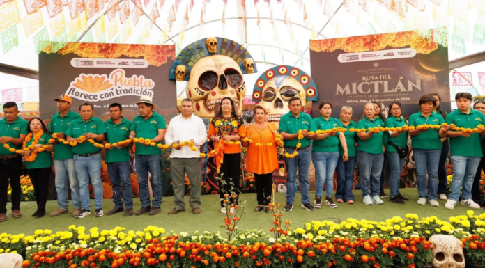 Productores atlixquenses impulsan temporada de cempasúchil