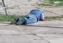 Trabajador municipal de Puebla queda herido tras ataque de abejas