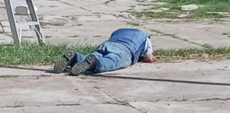 Trabajador municipal de Puebla queda herido tras ataque de abejas